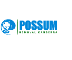 Possum Removal Canberra