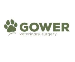 Gower Veterinary Surgery - Swansea