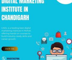 DIgital Marketing Institute In Chandigarh