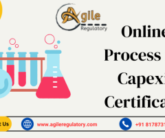 Online Process for Capexil Certificate