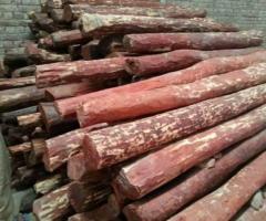 Red sandalwood price per kg in Tamilnadu, India