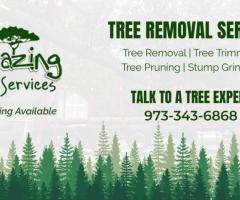 Lot Clearing NJ – Amazing Tree Services