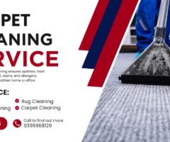 Top-Quality Carpet Cleaning Services in Sunbury – Book Now