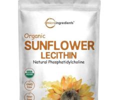 Organic soy lecithin powder | Lecilite Ingredients