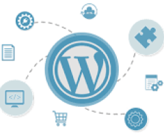 Discover Best WordPress Development Company in India for Robust Sites