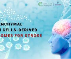 Stem Cell Therapy to Treat Stroke - 1