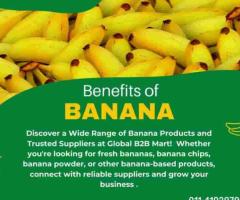 Fresh Yellow Banana | Fresh Organic Bananas | GlobalB2BMart