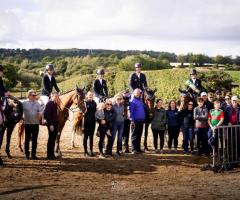 Top-Quality Show Jumpers for Sale Breeding & Training Experts at Ballypatrick