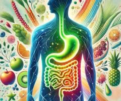 Gut Health Testing for Energy & Digestion | SHCollective