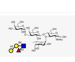 Discover the Benefits of Human Milk Oligosaccharides (HMOs) | GlycoDepot