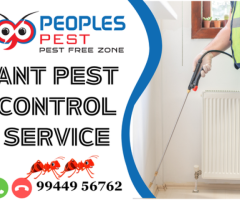 Ant Pest Control Service in Trichy