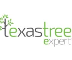 Reliable and Efficient Tree Removal in Houston with Texas Tree Expert