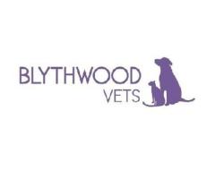 Blythwood Vets - Bushey