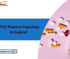 PCD Pharma Franchise In Gujarat - Rouzel Pharma