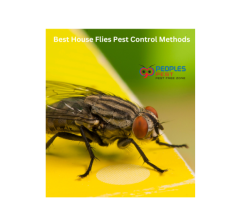 Commercial Pest Control Service - People’s Pest