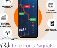 Ready to Trade Forex Like a Pro?