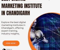 DIgital Marketing Institute In Chandigarh