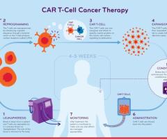 CAR T-Cell Therapy Costs: Accessibility, and Affordability, Netherlands