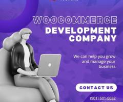 Why Choose WooCommerce for Your Online Store Development?