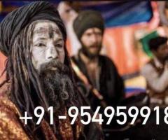 India No1 most powefull specialties astrologer aghori baba 09549599183 AUS