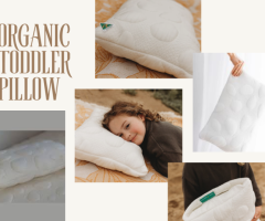 Affordable Toddler Pillow : A Budget-Friendly Options for Every Parents !