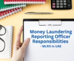 MLRO Services In Abu Dhabi - 1