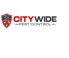 City Wide Bed Bug Control Melbourne