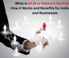 What is MLM or Network Marketing? How it Works and Benefits for Individuals and Businesses