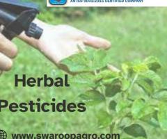 Protect Your Plants Naturally with Herbal Pesticides - 1