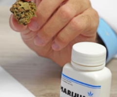 Discover the Best Strains for Cancer Relief with Expert Marijuana Doctors