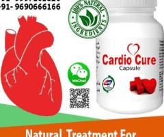 Cardio Cure for Healthy Cardiovascular Performance