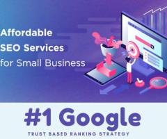 Affordable Local SEO Services in Middletown, DE