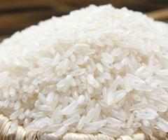 Basmati Rice Exporter - 1