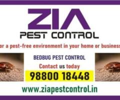 Bed Bug Pest cleaning | Commercial | effective Bed Bug treatment| 4094