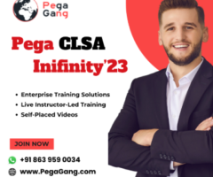 Pega Lead System Architect Part1 & Part 2 Online Training and Support by IT Experts - PegaGang