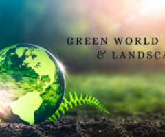 Green World Nursery & Landscapes: A Gateway to Nature’s Serenity