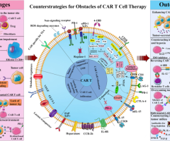 CAR T-Cell Therapy A Novel Approach to Tailored Cancer Management