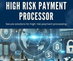 High-Risk Payment Processor