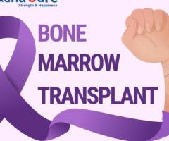 Best Cost Of Bone Marrow Transplant In Ogun State, Nigeria