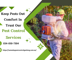 Geelong's Trusted Solution: Pest-Free Living Starts Here