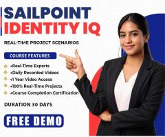 Best SailPoint Online Training  Sailpoint Online Course