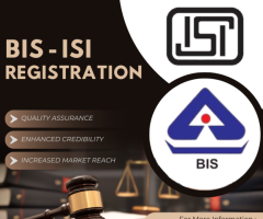 bis registration for electronic products