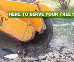 Stump Grinding NJ – Amazing Tree Services