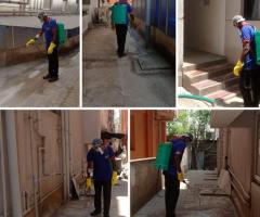 Termite pest control service in trichy