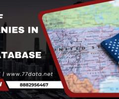 Database provider in USA by 77 Data