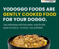 Complete and Balanced Dog Food at Yodoggo