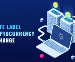 Cut Your Development Time in Half with White Label Crypto Exchange Software