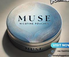 Get Top Notch Product Of The Market Muse Nicotine Pouches