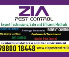 Zia Pest Control | General Pest Control | Ant and Lizard | Marathahalli | 4029