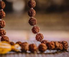 Tap into Spiritual Power with Genuine Rudraksha Beads!